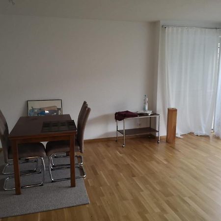 Helene Apartment Bad Sackingen Ngoại thất bức ảnh